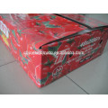 Canned Vegetables Tomato Ingredient TMT Brand